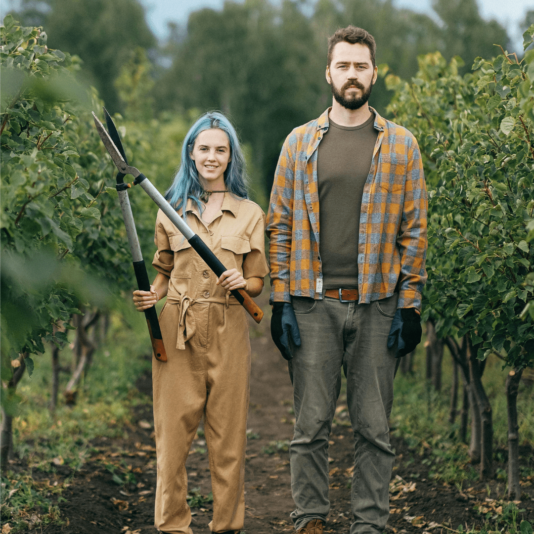 Sydney Harvest